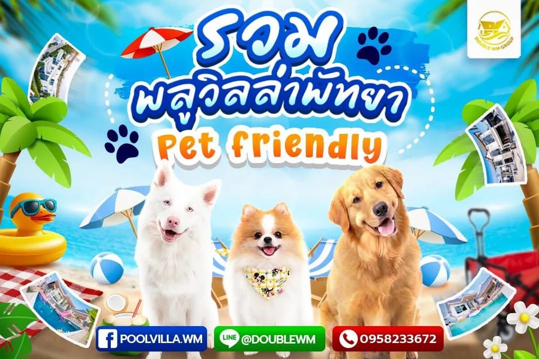 มัดรวม 9 พูลวิลล่าพัทยา Pet Friendly พาน้องมาเที่ยวทะเล ใกล้หาดจอมเทียน-บางเสร่ ปาร์ตี้จัดเต็ม